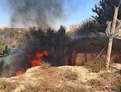 Mut'ta bah�e yang�n� korkuttu